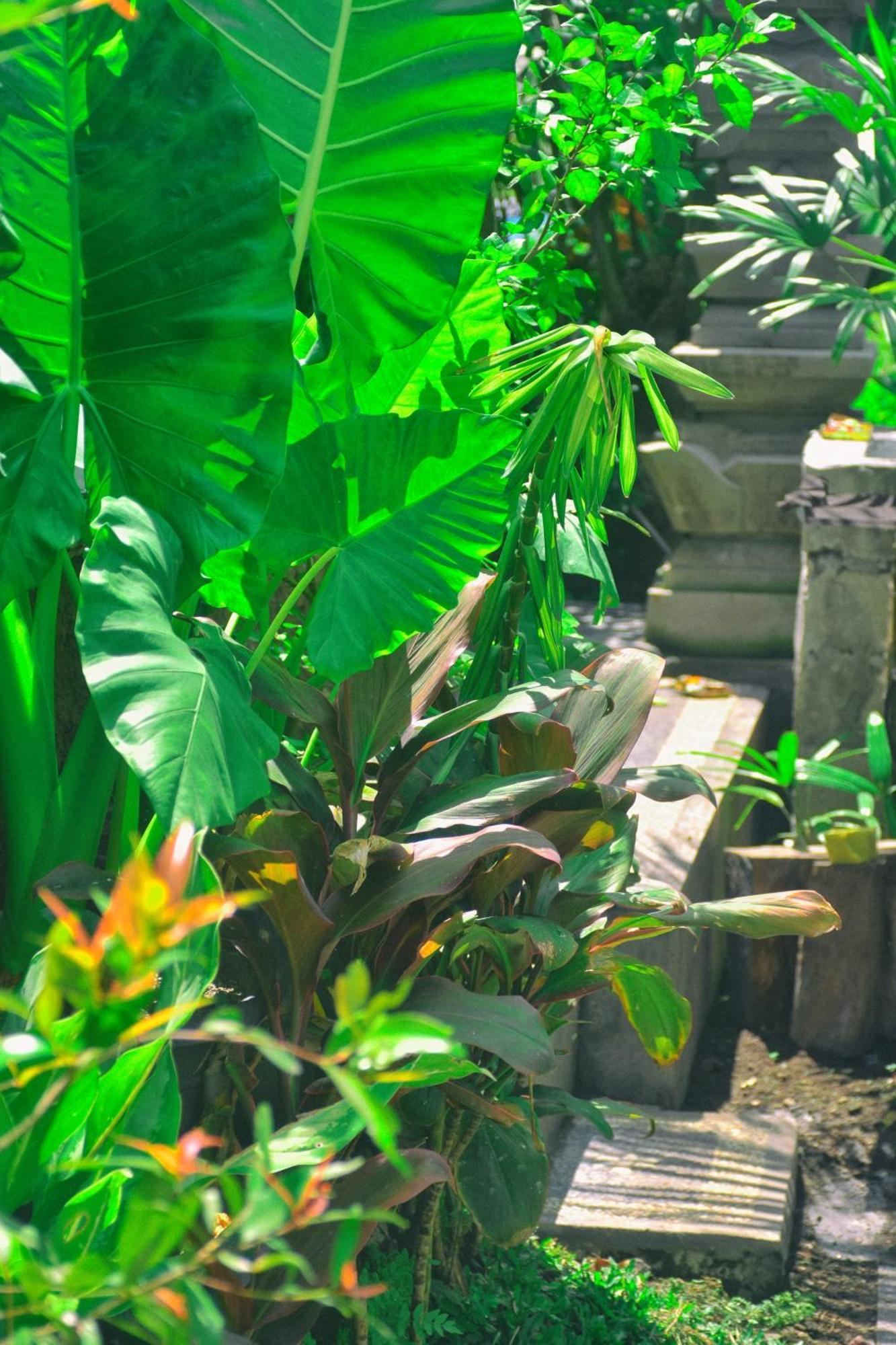 Ume Sita Villa And Homestay Ubud  Exterior photo